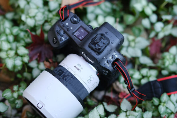 canon-eos-r3-media-7-600x400-1 Tính Năng Đặc Biệt Khác Trên Canon EOS R3