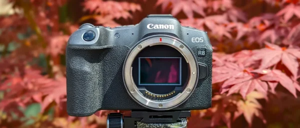 canon-eos-r8-media-10-600x257-1 Trái tim của Canon EOS R8 là cảm biến CMOS full-frame 24.2 megapixel