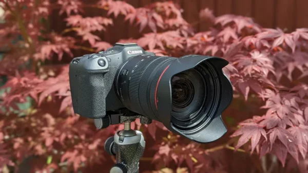 canon-eos-r8-media-11-600x338-1 Ưu Nhược Điểm của Canon EOS R8