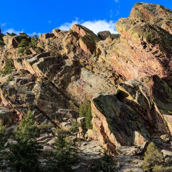 Canon EOS 90D Body
