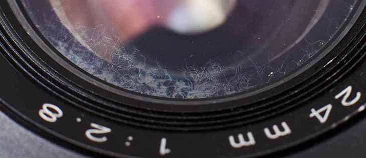 Lens bị mốc và cách xử lý hiệu quả cho người dùng máy ảnh 2 Các yếu tố cốt lõi gây ra nấm mốc