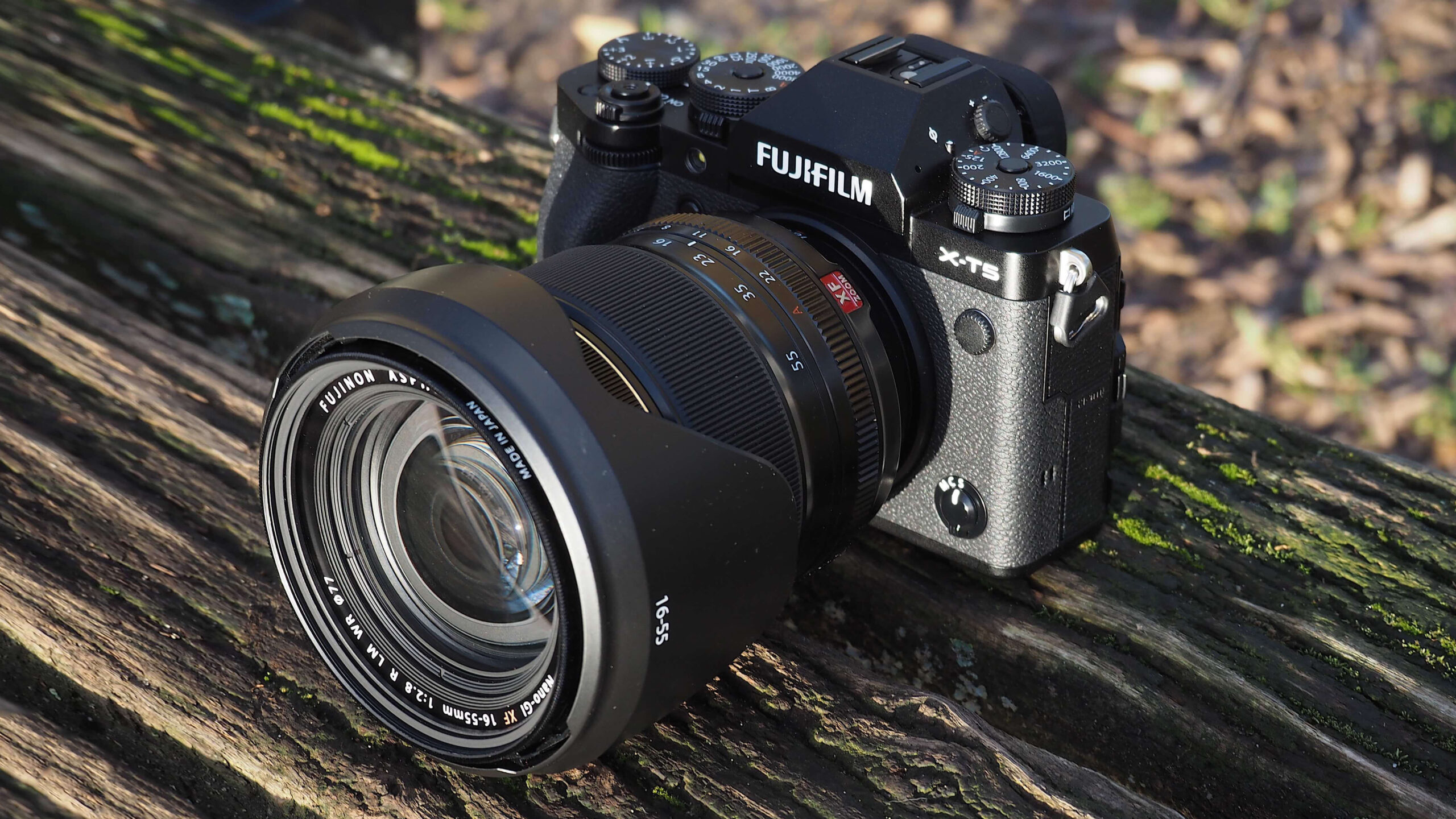Đánh giá máy ảnh Fujifilm X-T5 với những cải tiến công nghệ vượt trội 4 Chất lượng hình ảnh trên Fujifilm X-T5