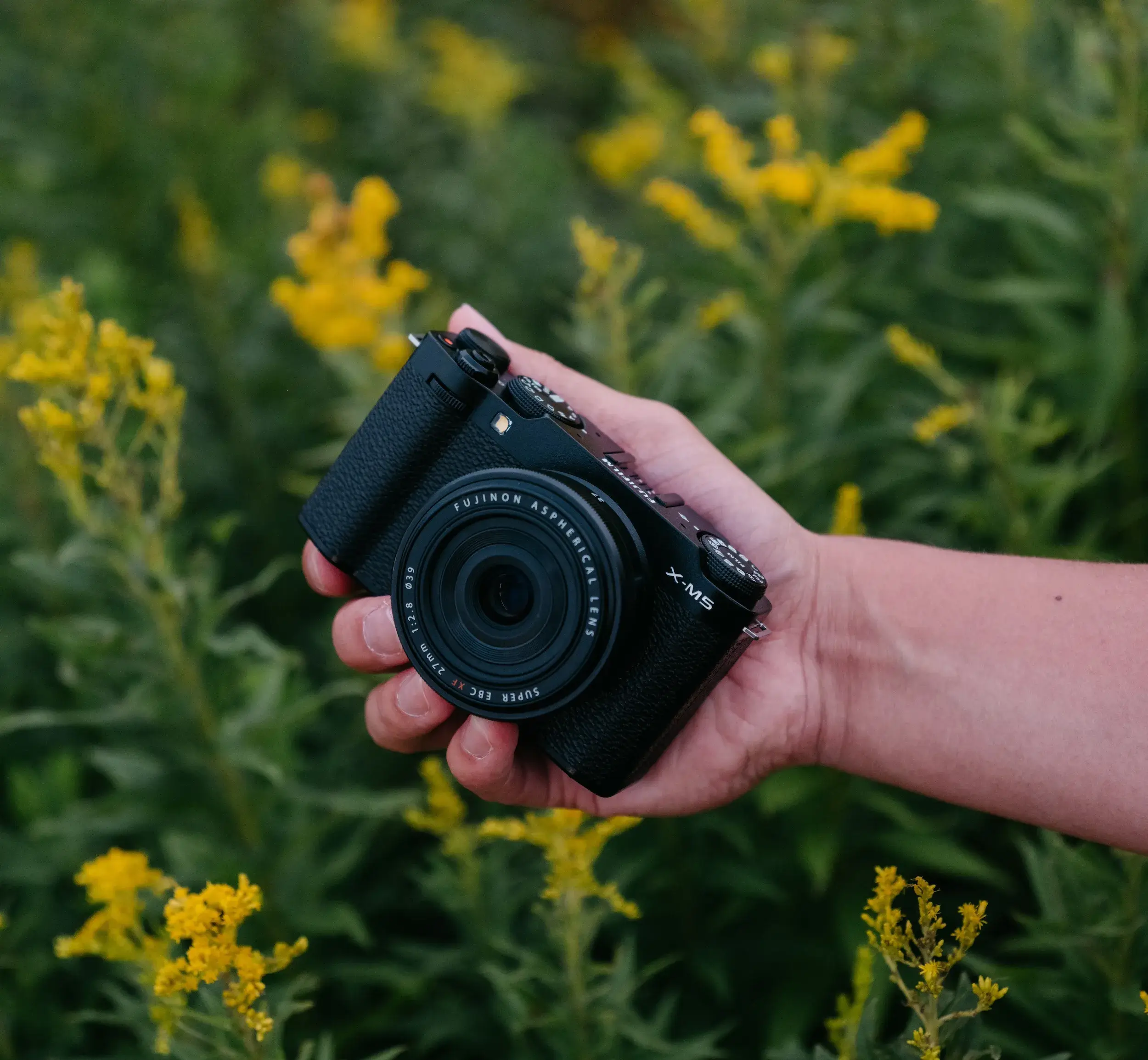 FUJIFILM X-M5 38 Chất lượng hình ảnh vượt xa tiêu chuẩn thông thường