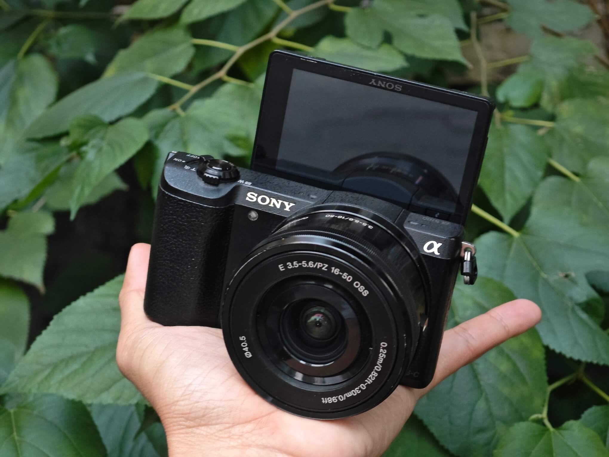 Check bảo hành máy ảnh Sony cực nhanh và chính xác tại nhà 3 Hướng dẫn các phương thức tra cứu bảo hành máy ảnh Sony
