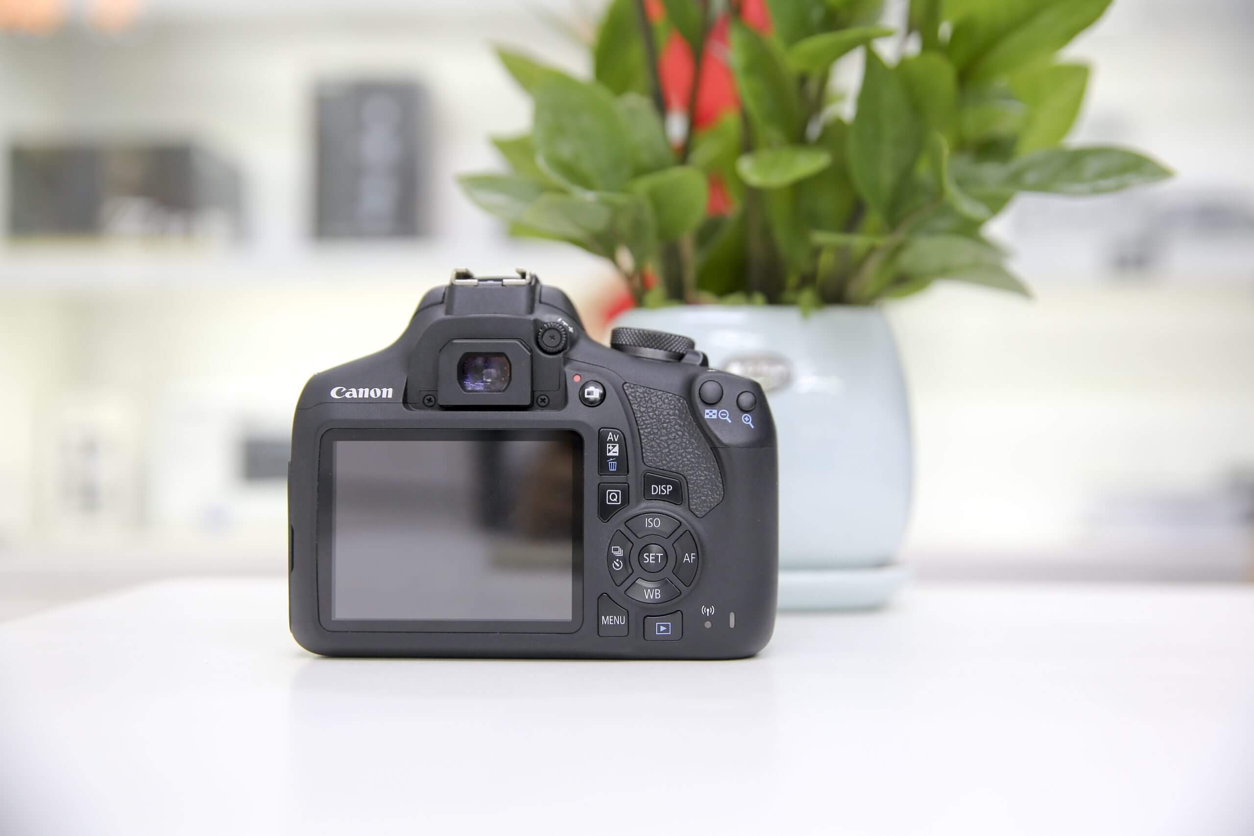 Cài đặt tiếng việt cho máy ảnh Canon đơn giản tại nhà 2 Quy trình chi tiết cài đặt tiếng việt cho máy ảnh canon tại nhà