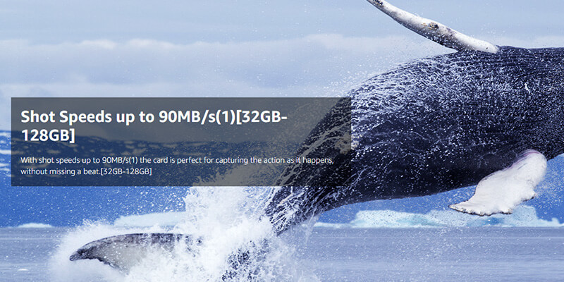 Thẻ nhớ SDXC SanDisk Extreme Pro U3 V30 128GB 200MB/s SDSDXXD-128G-GN4IN 5 Dung lượng lưu trữ 128GB và độ bền bỉ trong môi trường thực địa