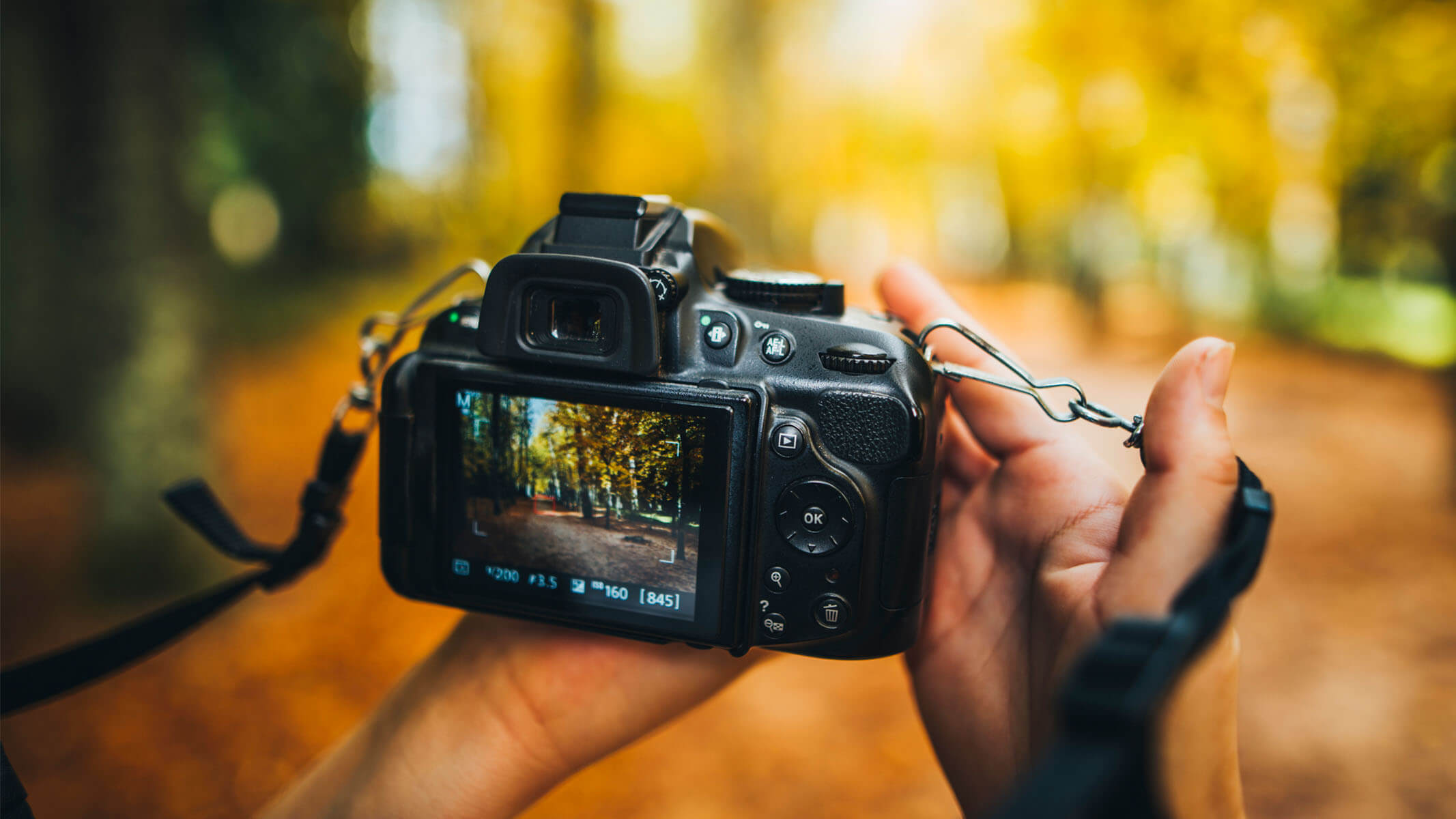 Dslr và mirrorless nên chọn dòng máy ảnh nào tốt năm 2026 11 Đánh giá khả năng chuyển đổi từ DSLR sang Mirrorless