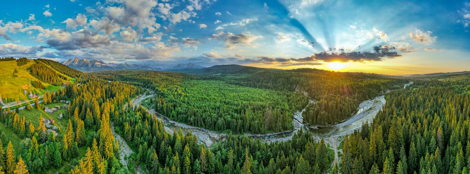 Định nghĩa Panorama là gì?