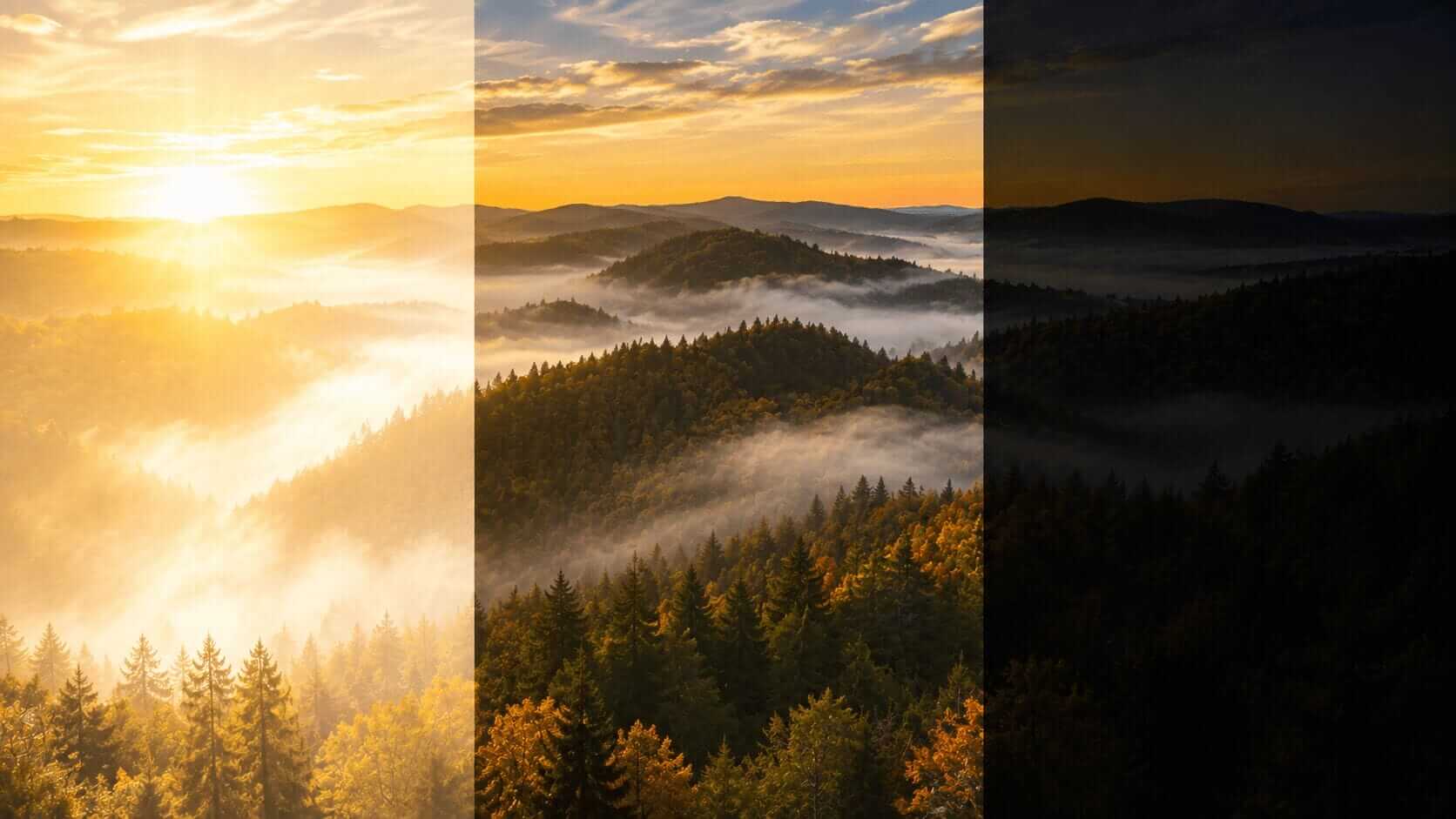 Dynamic range là gì và bí quyết tối ưu hiệu quả cho hình ảnh 2 Giải mã khái niệm Dynamic Range