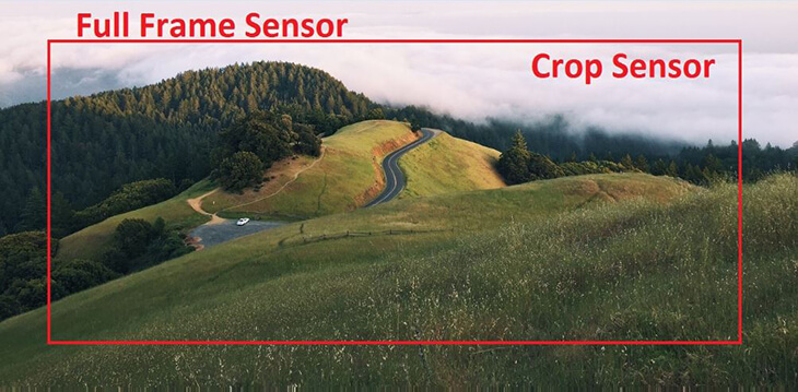 Crop là gì và những kỹ thuật cắt ảnh chuyên nghiệp bạn nên biết 2 Những giá trị cốt lõi khi thực hiện cắt ảnh