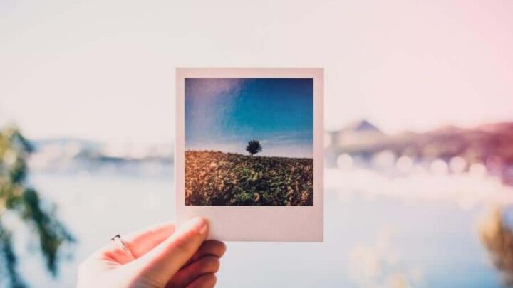 Phân loại các nhóm khung hình thông dụng