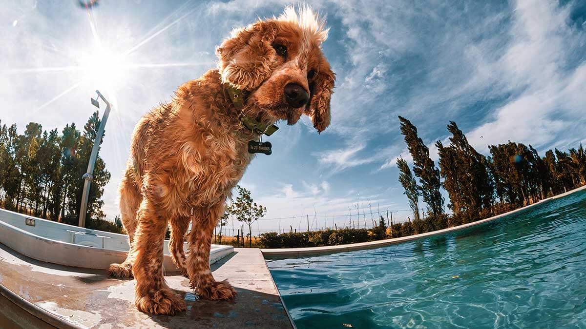 Fish eye là gì và những ứng dụng độc đáo trong nhiếp ảnh 5 Thách thức kỹ thuật khi sử dụng ống kính mắt cá