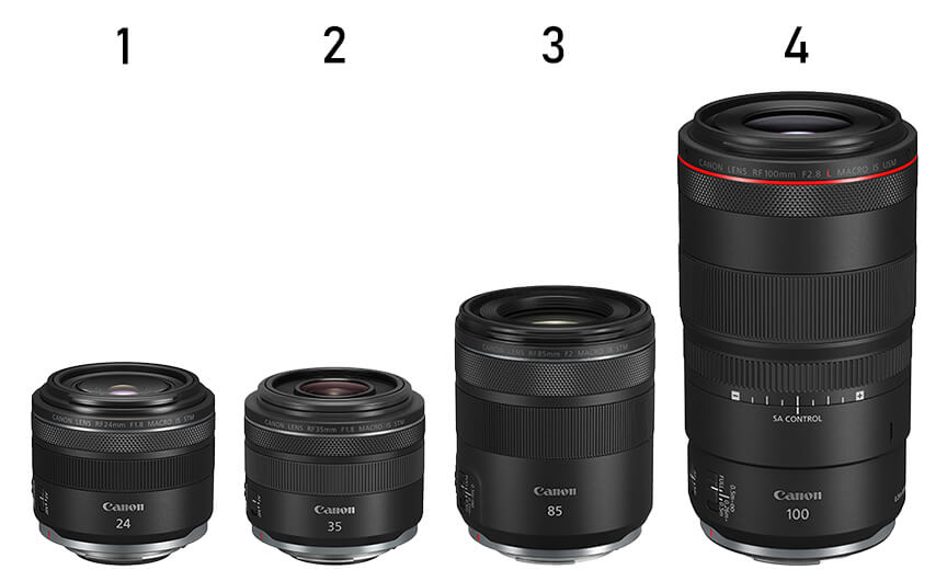 Các Dòng Lens Canon Prime Khẩu Độ Lớn (Fast Primes)