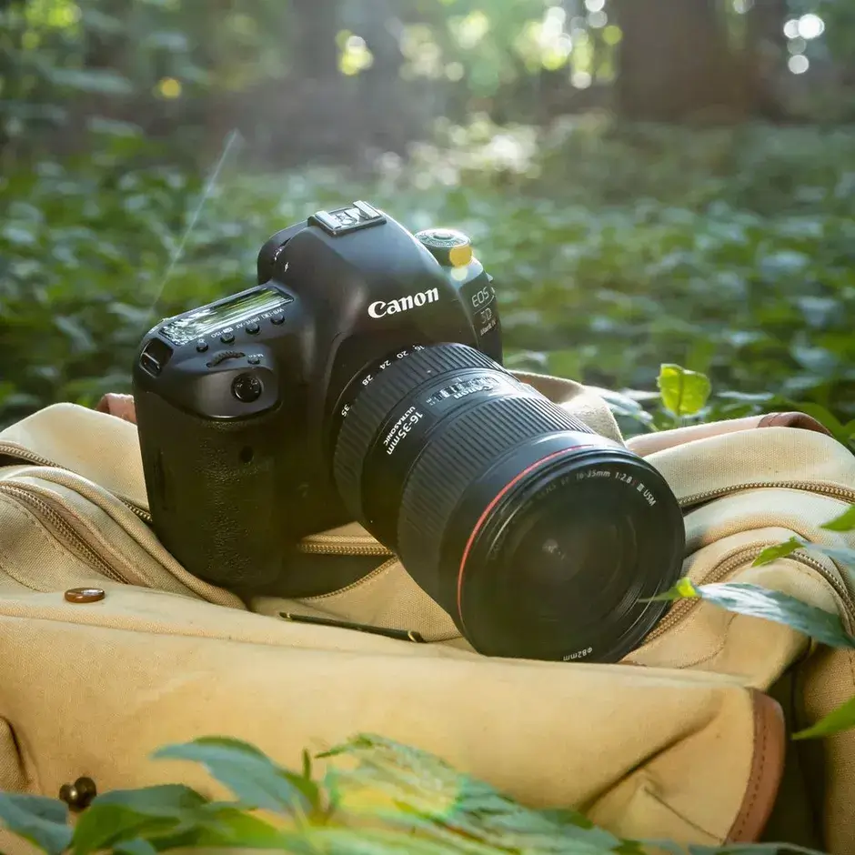 Cách phân loại máy ảnh Canon theo phân khúc
