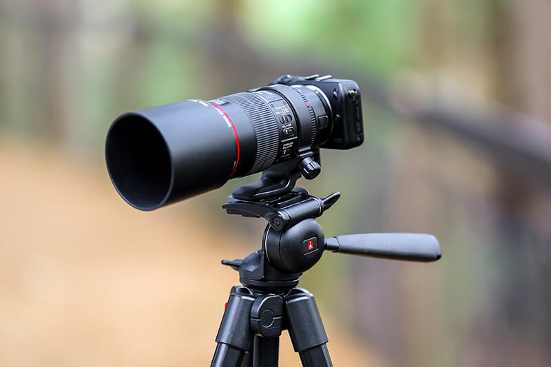 Lens macro và những kiến thức nhiếp ảnh cần nắm vững 4 Có thật sự cần thiết sử dụng chân máy khi chụp ảnh macro?