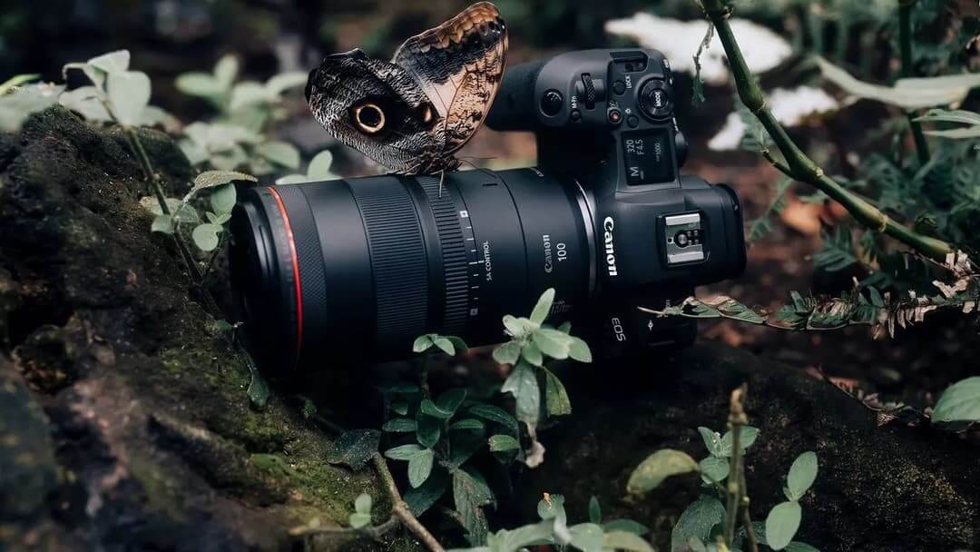 Đánh giá tổng quan về Canon RF 100mm f/2.8L Macro IS USM