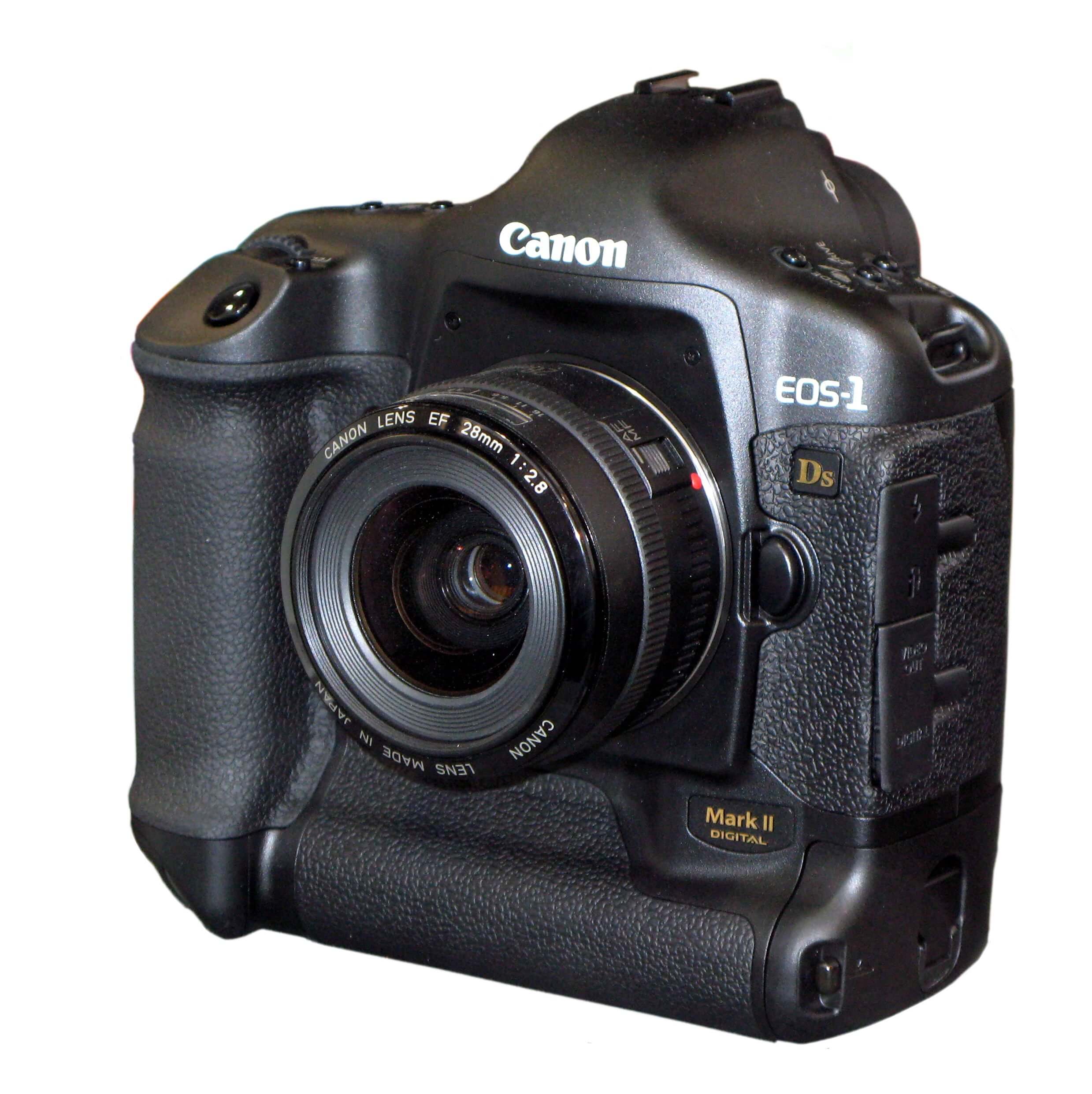 Dòng Pro Full-frame (Ví dụ: Canon 1Ds Mark II)