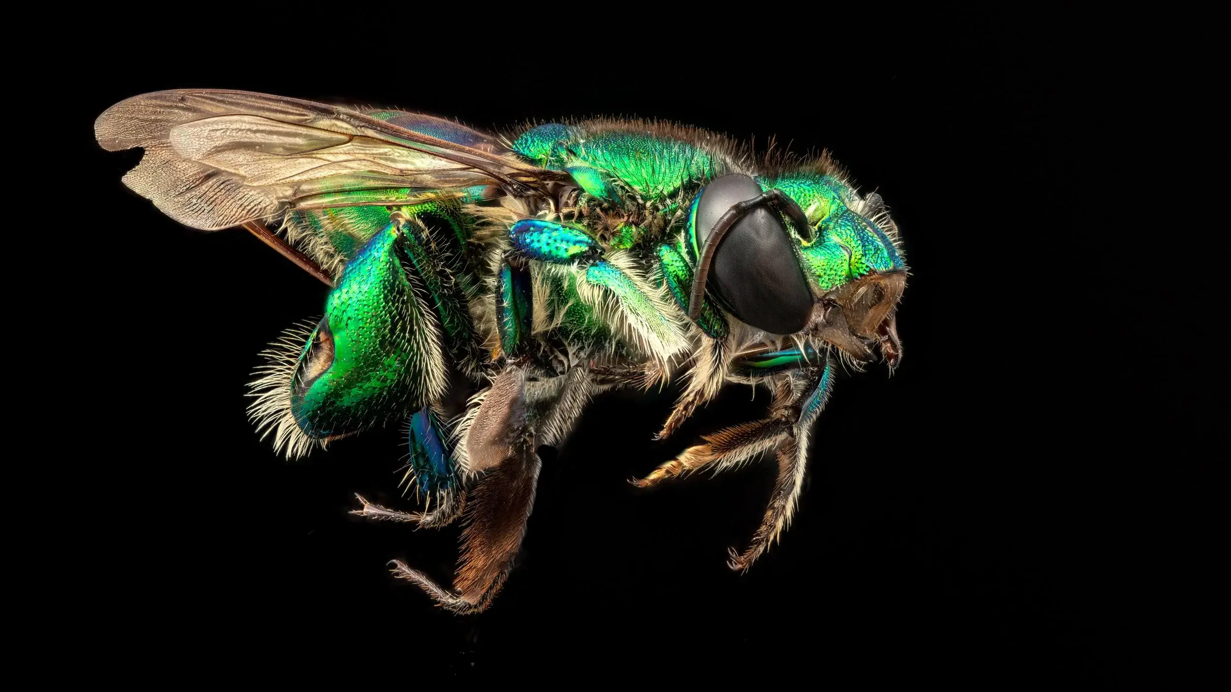 Giải mã kỹ thuật focus stacking là gì?