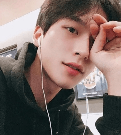 Góc chụp từ dưới lên (Low Angle)