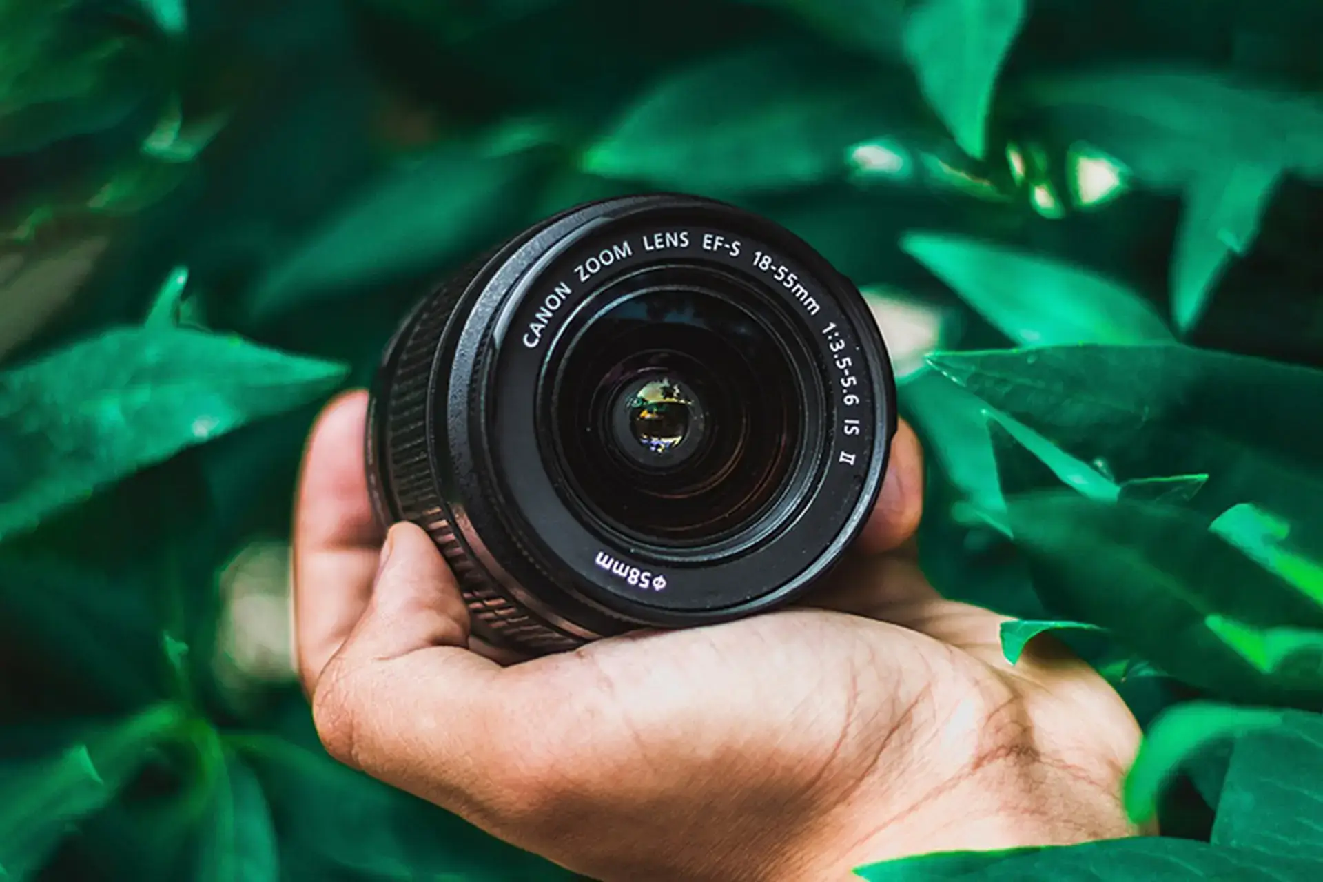 Lens kit là gì và sự khác biệt so với lens fix 2 Những lợi thế khi sử dụng lens kit