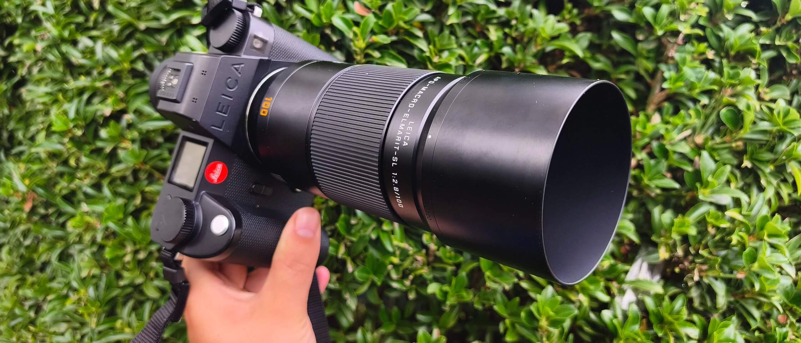 Lens macro và những kiến thức nhiếp ảnh cần nắm vững 2 Tầm quan trọng của khả năng lấy nét khoảng cách gần