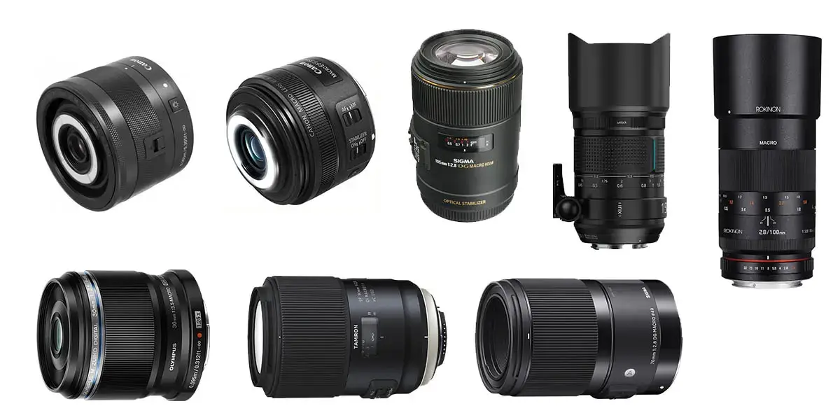 Lens macro và những kiến thức nhiếp ảnh cần nắm vững 3 Tiêu chí quan trọng khi lựa chọn ống kính macro