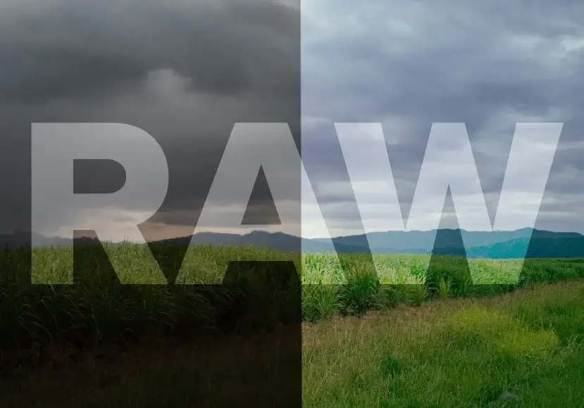 Ưu tiên sử dụng định dạng file RAW