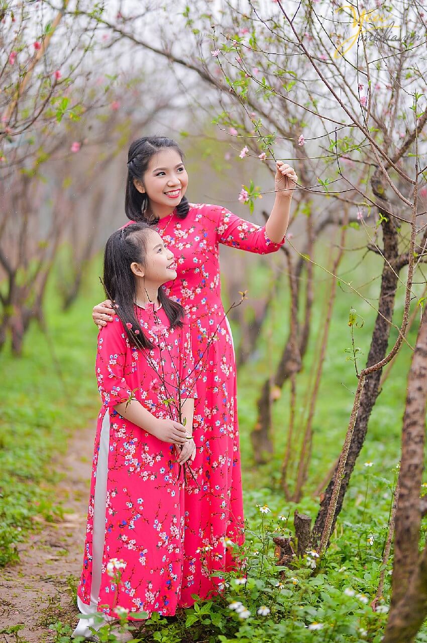Vẻ đẹp truyền thống tại Vườn đào Nhật Tân