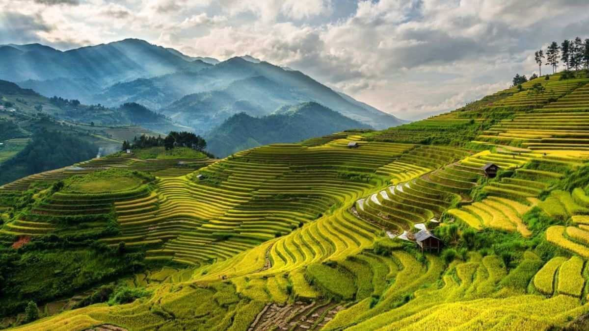 EXIF là cách xác thực ảnh chụp thực tế thay vì dùng AI 1 Vì sao các bức ảnh chụp thật thường dễ bị nghi ngờ là sản phẩm AI?